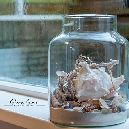 Carpe Diem Egmond Aan Zee By Urban Home Stay 외부 사진